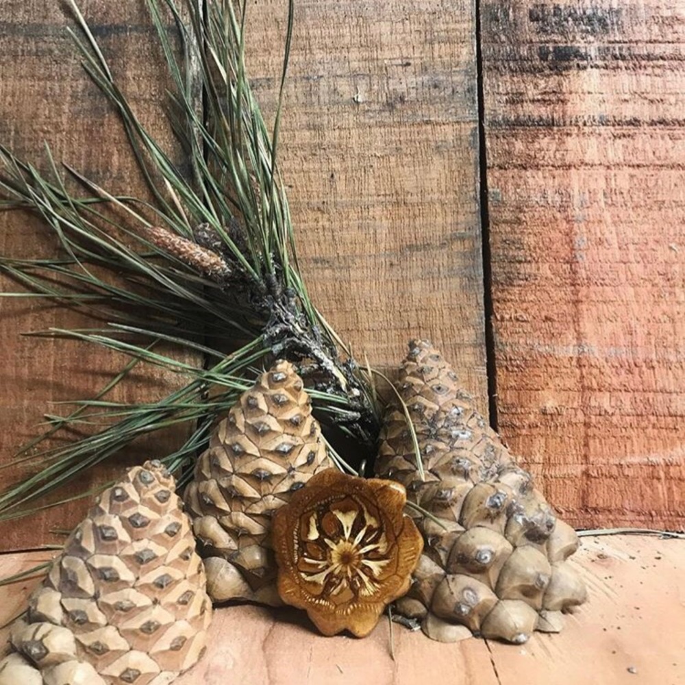 Pine cone pendant. ( Instagram @peacefulpines )